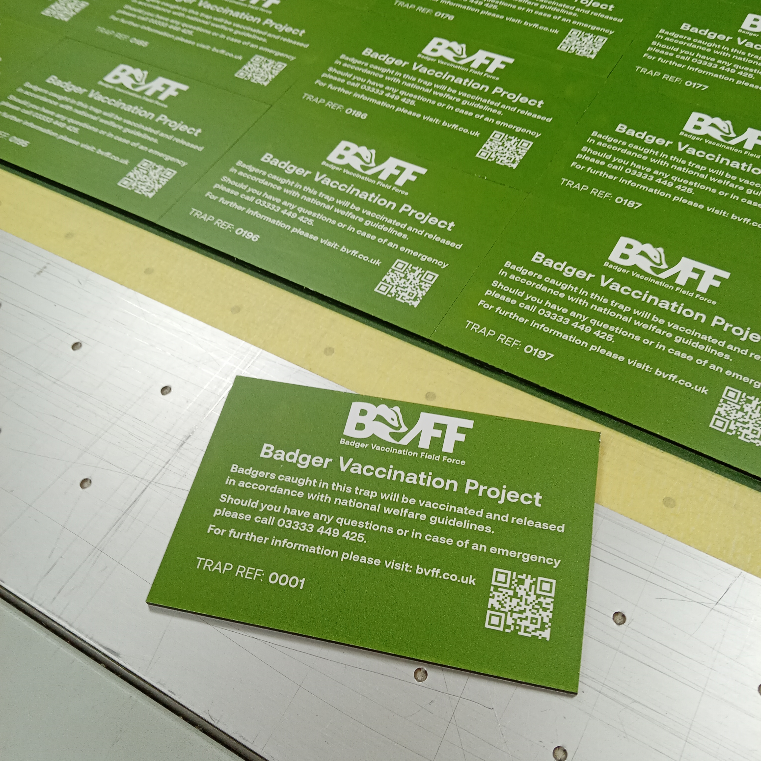 Badger vaccination cards printed by Backdrop Media
